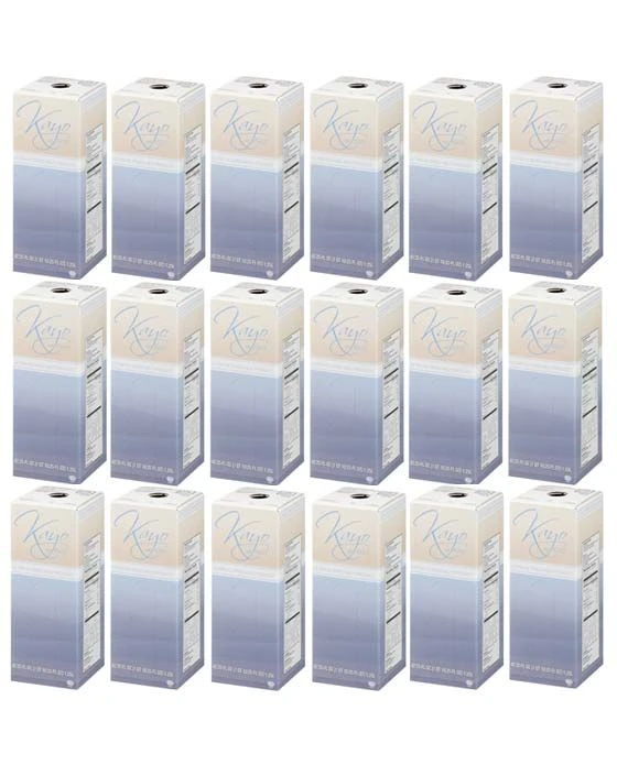 Kayo 1.25 Liter Cafi-Lait Milk Concentrate (Eighteen)